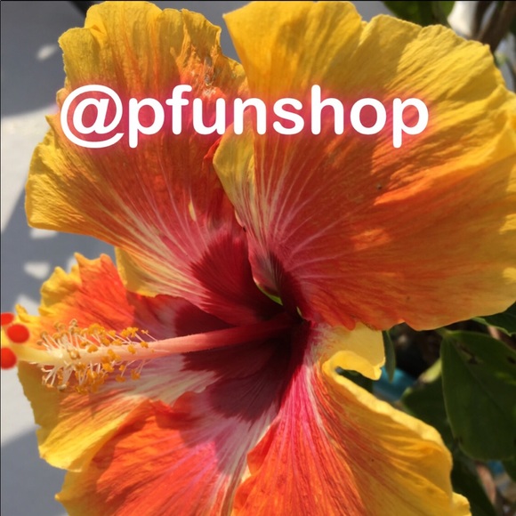 ⭐️ 🌸Meet your Posher, PFunShop !! 🌸⭐️ - Picture 1 of 2